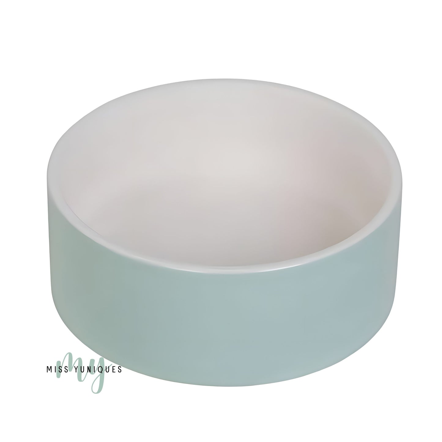 Mint Colour Pet Bowl